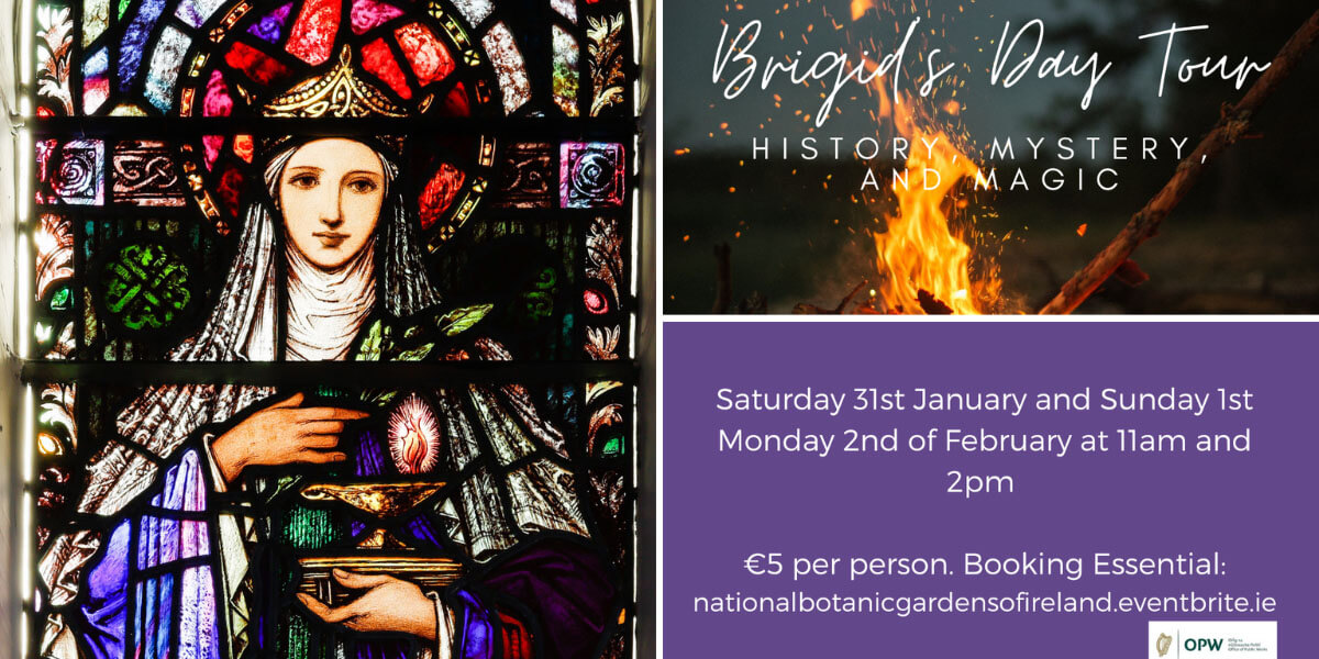 Brigid’s Day Tour: History, Mystery & Magic