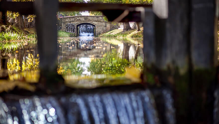 a view of the sun shining on the water of the royal canal