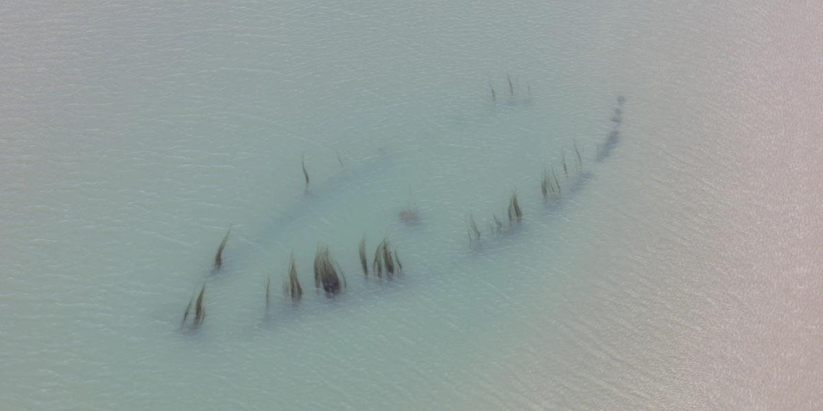 Guided Exhibition Walkthrough of PASSAGE by Siobhán McDonald