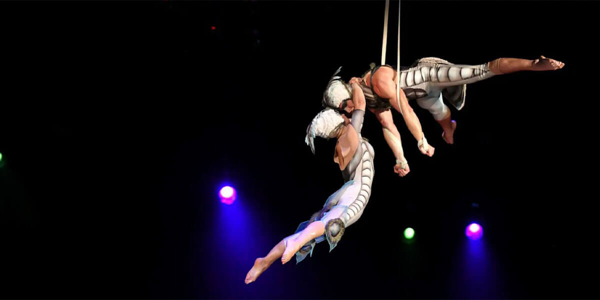 Cirque du Soleil OVO