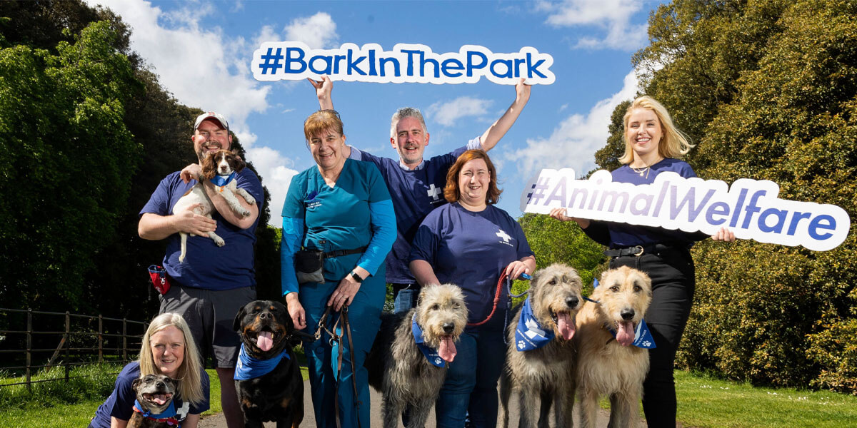 Bark in the Park