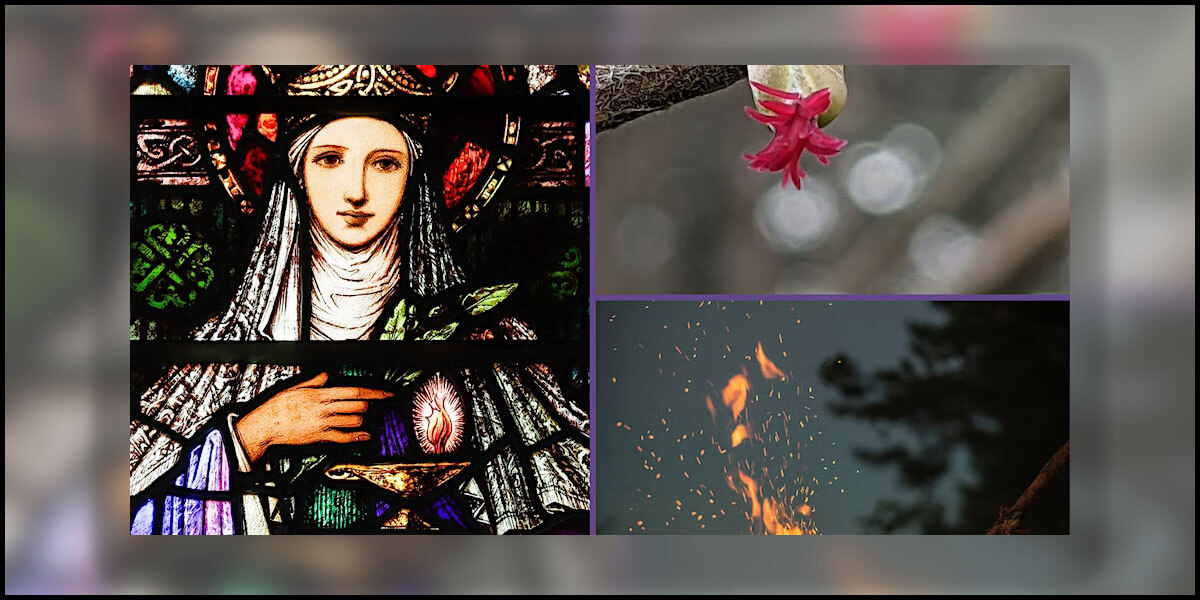 Guided tour: Féile Bhríde – History, Mystery & Magic