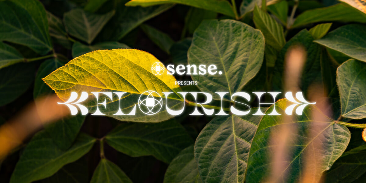 Flourish Series 2021