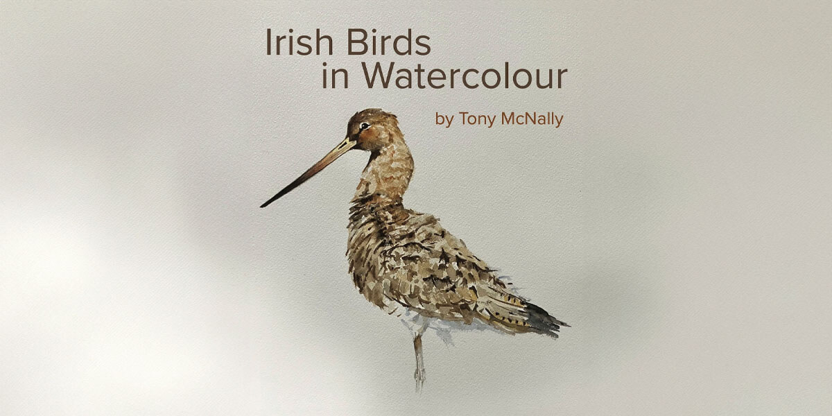 Irish Birds In Watercolour by Tony McNally
