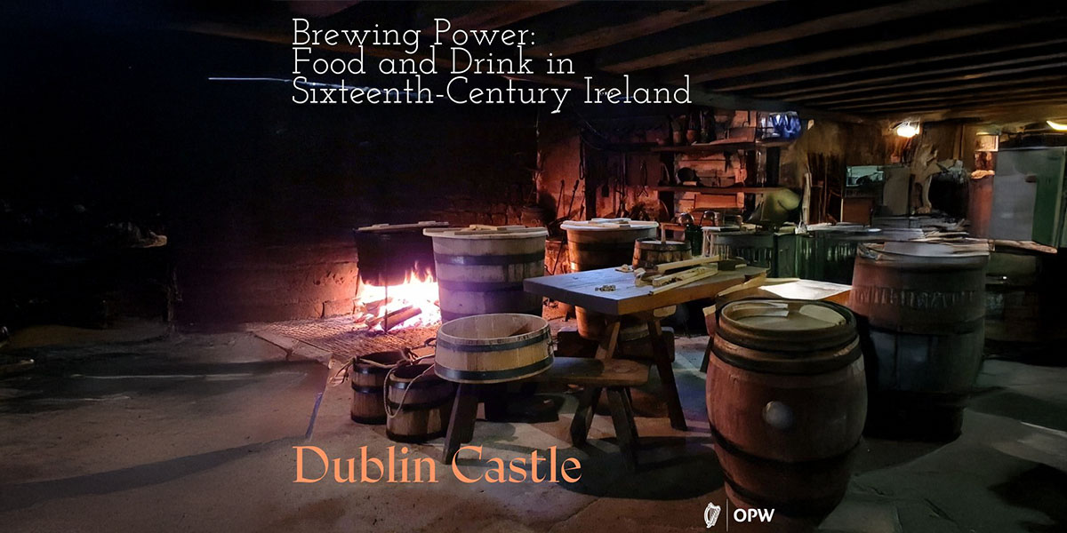 Brewing Power: Food and Drink in Sixteenth-Century Ireland