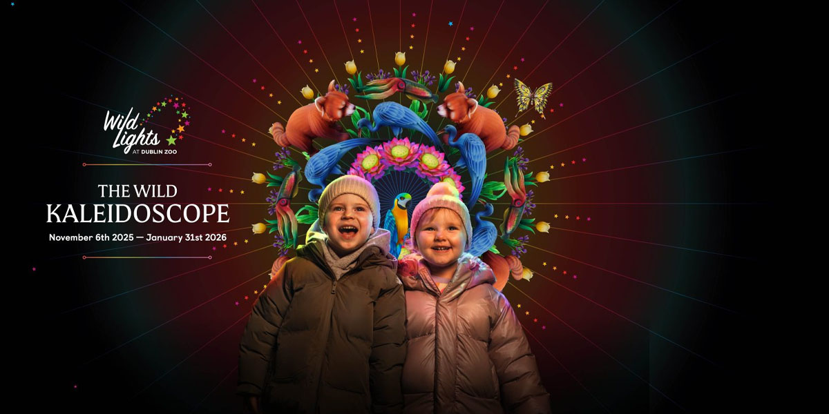 Wild Lights at Dublin Zoo