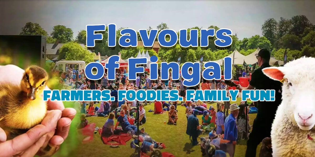 Flavours of Fingal