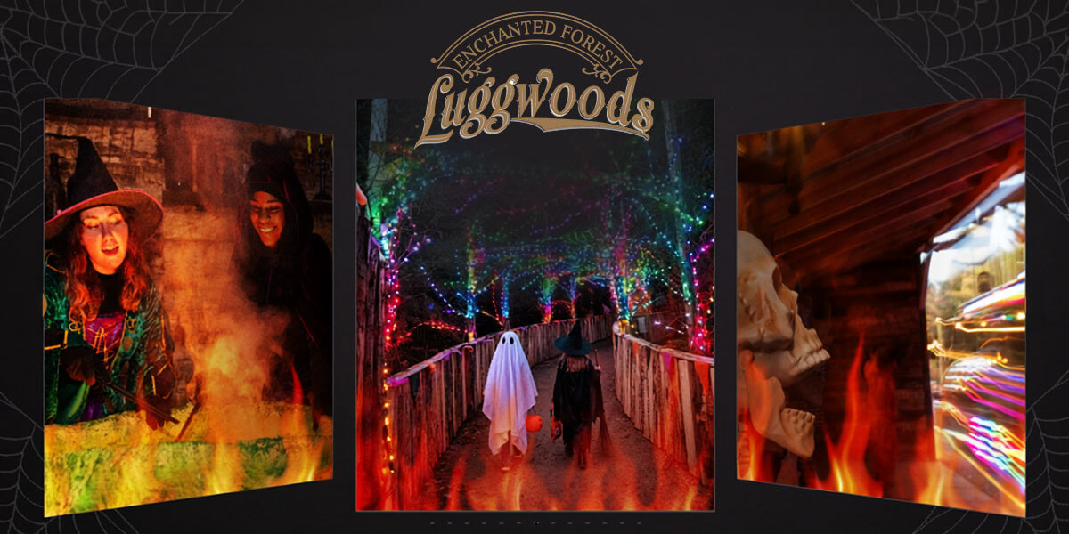 Halloween at Luggwoods