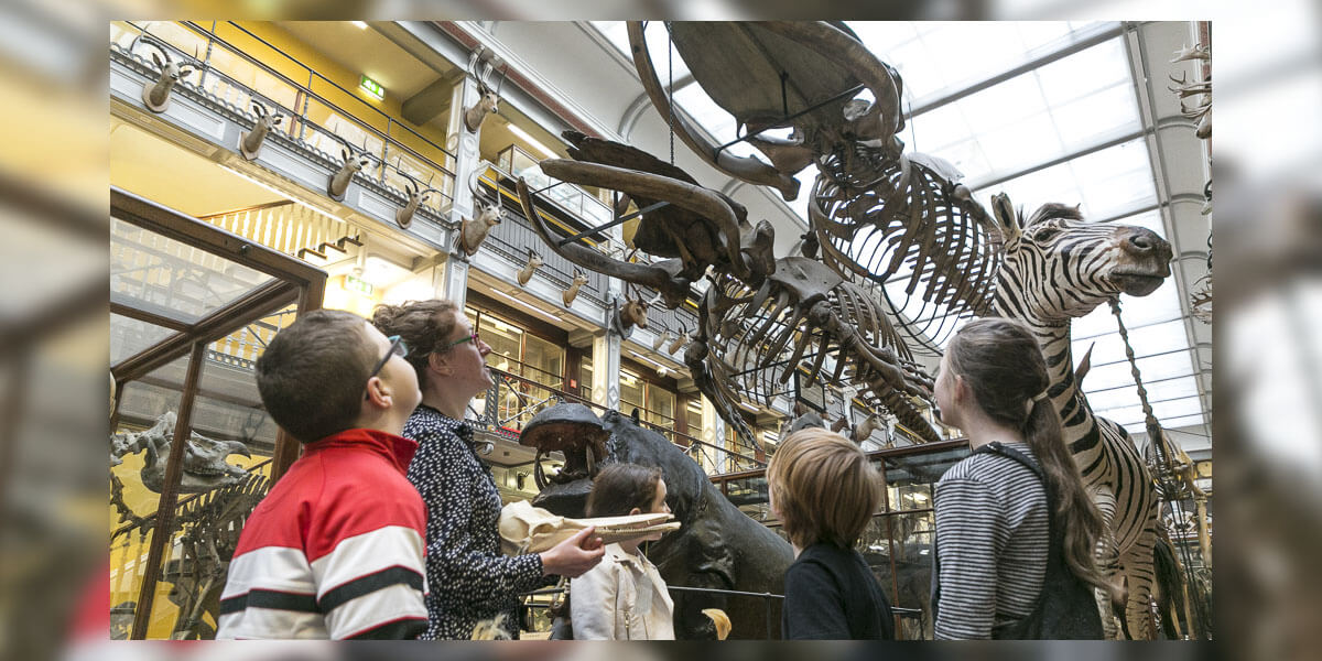 Nature Heroes: Meet the Irish Whale and Dolphin Group