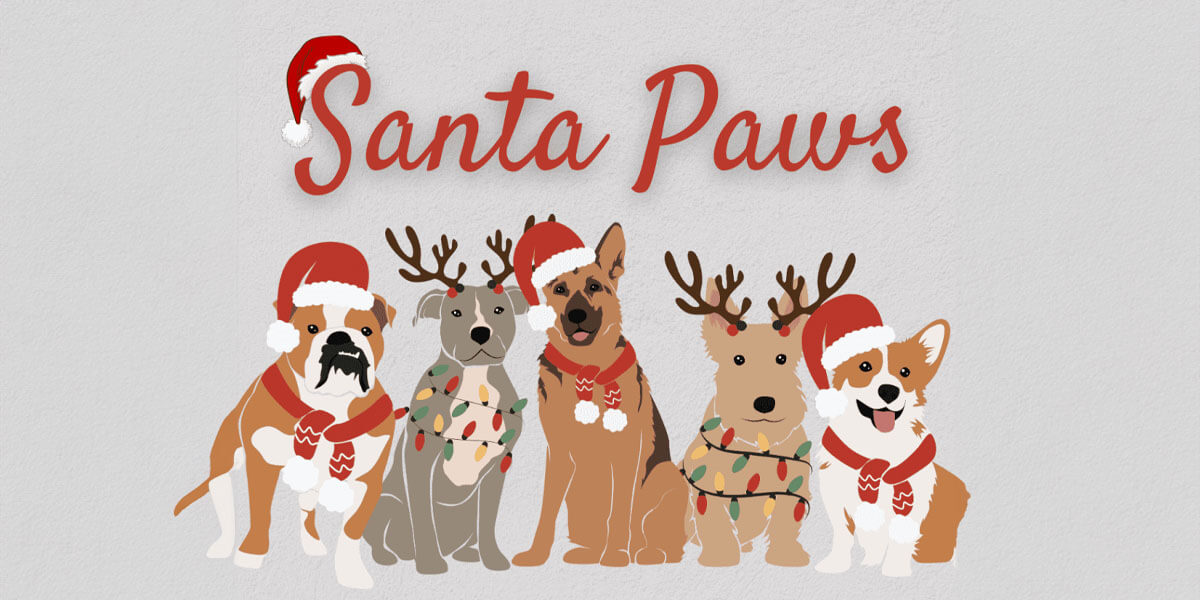 Santa Paws