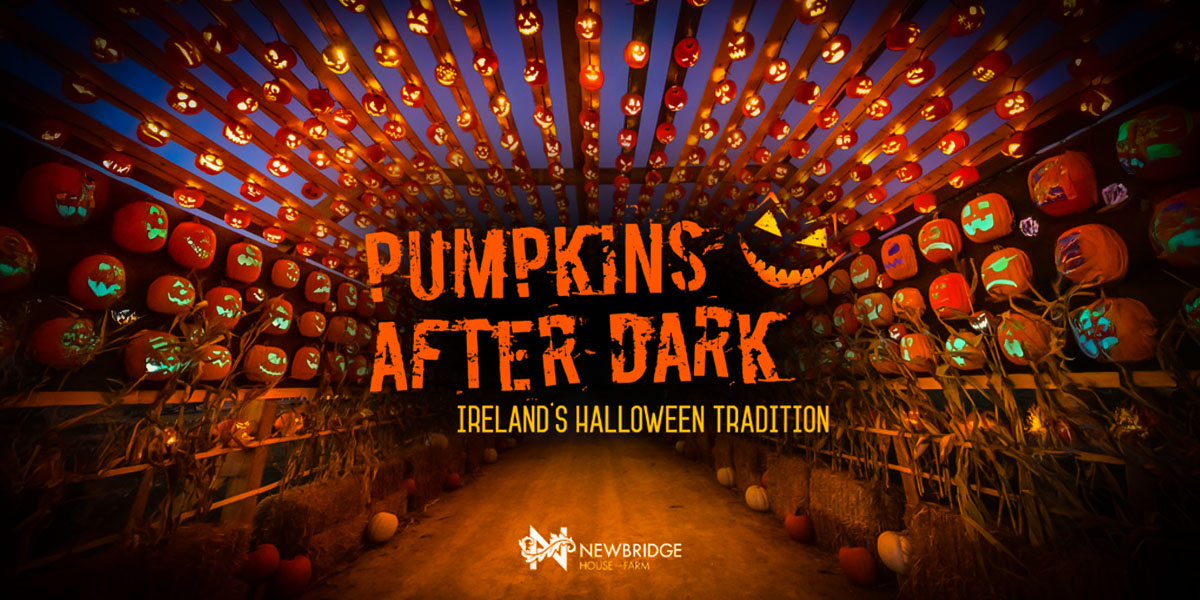 Pumpkins After Dark