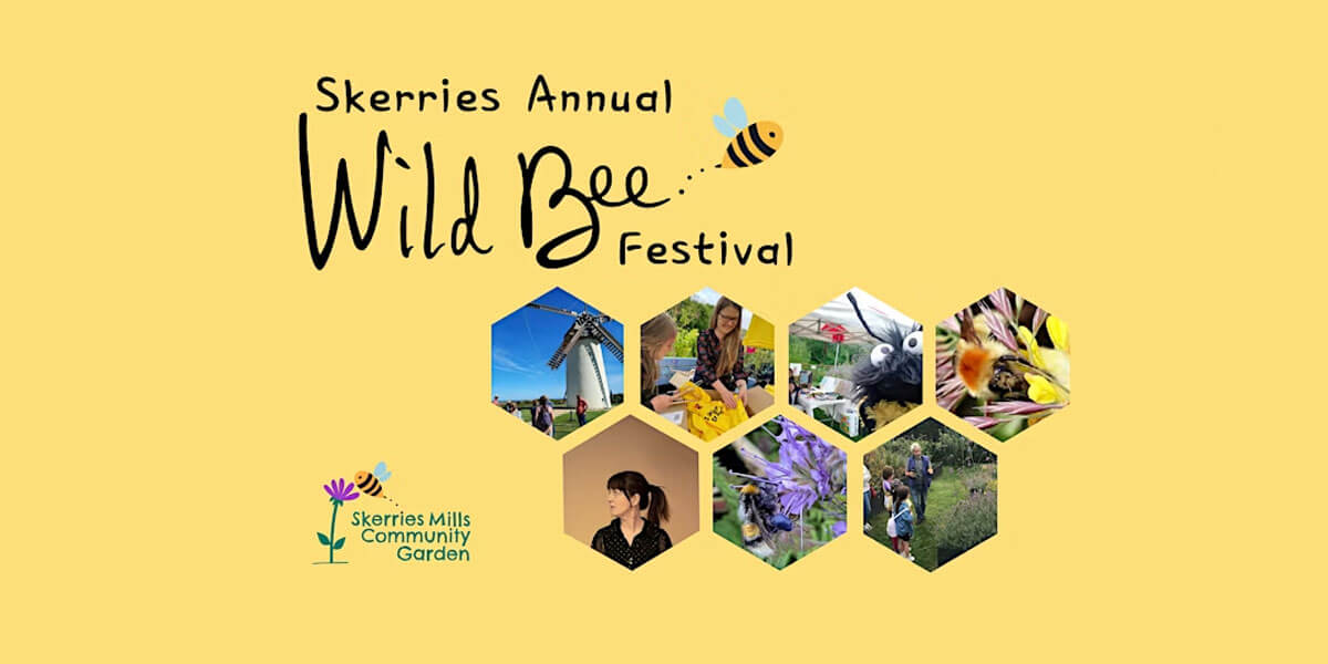 Skerries Wild Bee Festival