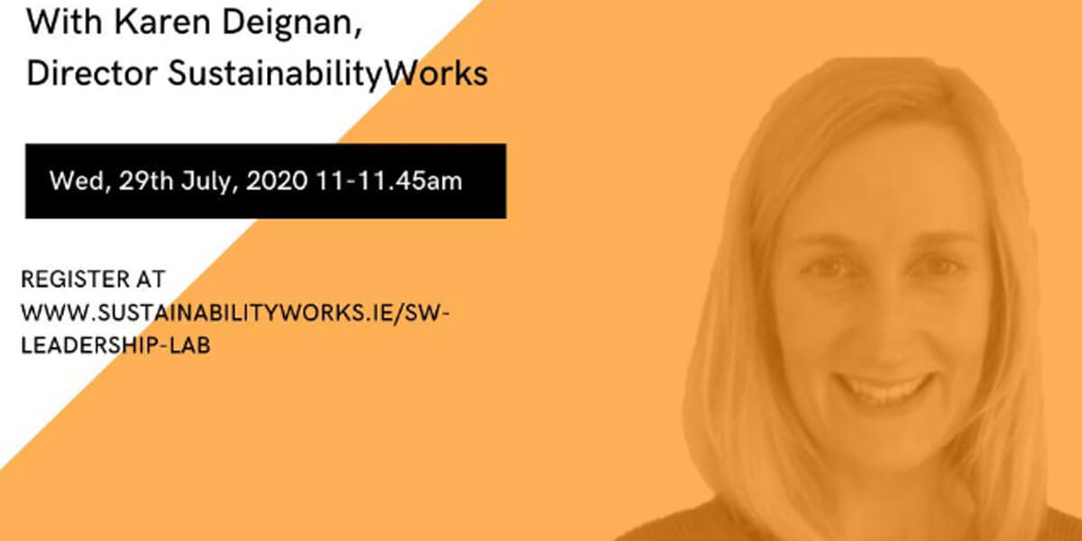 SustainabilityWorks – Sustainability Strategy 101
