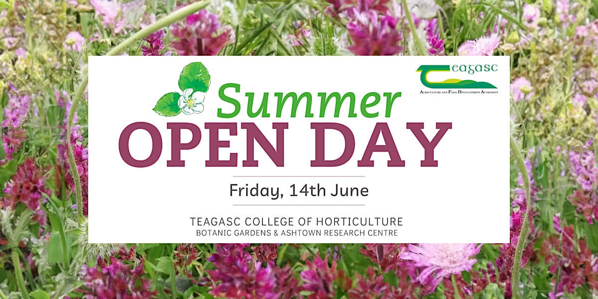 Teagasc Summer Open Day
