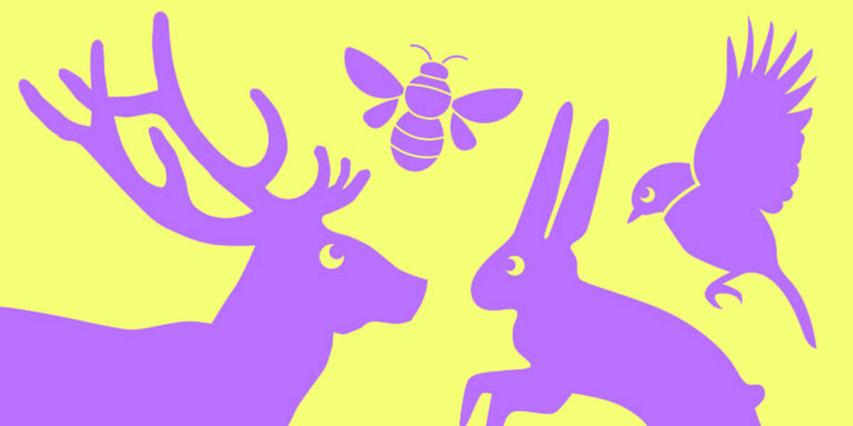 The Ark: Animals as Messengers, Guides & Fairies