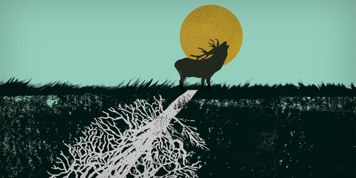 The Gloaming graphic artwork.